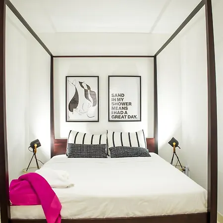 Ico فيلة بلايا بلانكا